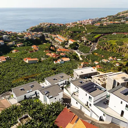 Fenix Ii By Madeira Dream