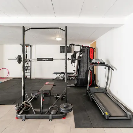 Fenix Ii By Madeira Dream *