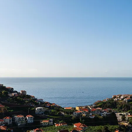 Fenix Ii By Madeira Dream