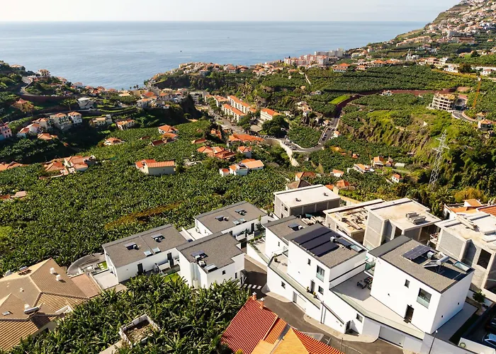 Fenix Ii By Madeira Dream