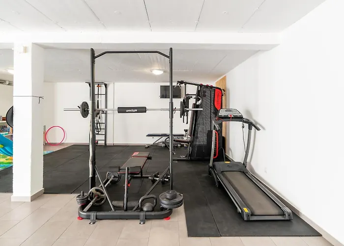 Fenix Ii By Madeira Dream *