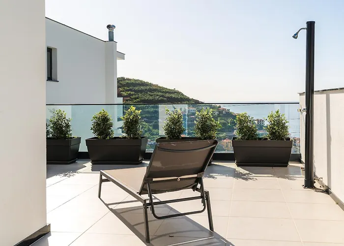 Fenix Ii By Madeira Dream *